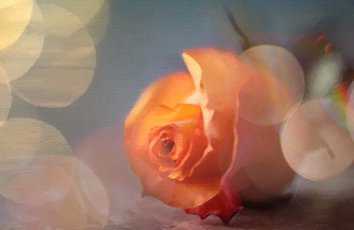 剪影艺术：如何巧妙设置背景增强效果？