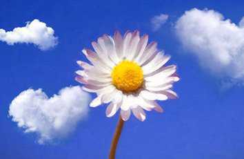 如何轻松下载Procreate3D模型？