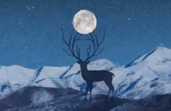 AE视频导出技巧，你掌握了吗？