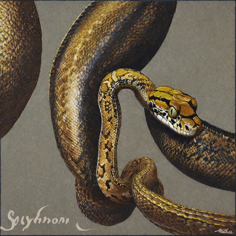 python str()和repr()的区别,str()和repr()应用场景