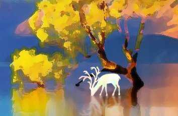 掌握Canva可画：从基础到高级的设计技巧