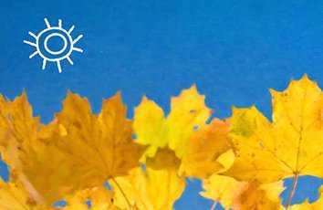  Procreate油画绘画指南：数字艺术的丰富之选