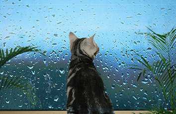 <b>学习韩语？推荐几款受欢迎的学习韩语App及注意事项</b>