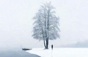  分析：高中生参加雅思考试的平均分数和备考要点