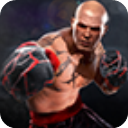 真实拳击2中文版