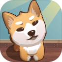 犬动力最新版安卓版 犬动力最新版安卓版