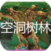 空洞树林 空洞树林