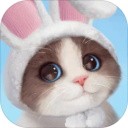 我和我的猫最新版本 我和我的猫最新版本