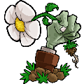 植物大战僵尸花园战争手机版 植物大战僵尸花园战争手机版