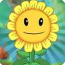 植物大作战 植物大作战