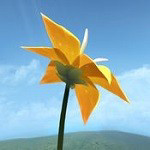陈星汉花 陈星汉花