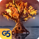 柏树女巫的诅咒