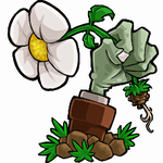 植物大战僵尸e版支线 植物大战僵尸e版支线