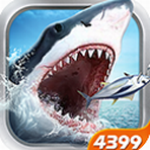 全民钓鱼破解版