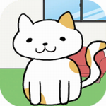 我的猫咪去哪儿了