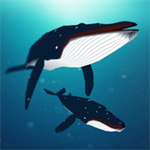 梦幻蓝海 梦幻蓝海