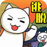 白猫和神秘财宝