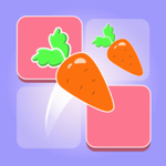 <b>合果碎砖</b> <b>合果碎砖</b>