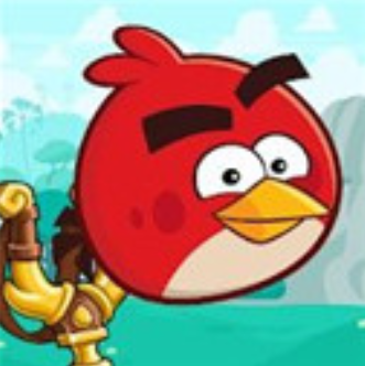 <b>愤怒的小鸟朋友</b>