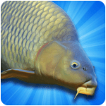 鲤鱼钓鱼模拟器