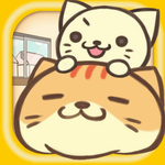 猫咪的毛 猫咪的毛