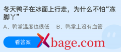 蚂蚁庄园：冬天鸭子在冰面上行走为什么不怕冻