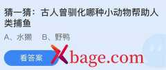 蚂蚁庄园：古人曾驯化哪种小动物帮助人类捕鱼