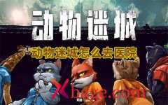 动物迷城怎么去医院