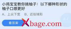 <b>蚂蚁庄园：以下哪种形状的柚子口感更好</b>