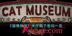 猫博物馆大厅箱子密码