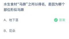 蚂蚁庄园：水生食材马蹄之所以得名，是因为哪