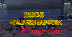 魔兽世界乌龟服地精在哪学剥皮