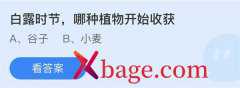 蚂蚁庄园：白露时节哪种植物开始收获