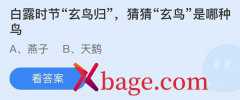 蚂蚁庄园：白露时节玄鸟归猜猜玄鸟是哪种鸟
