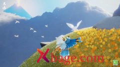 光遇风行领航员位置介绍