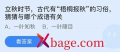 蚂蚁庄园：立秋时节古代有梧桐报秋的习俗猜猜