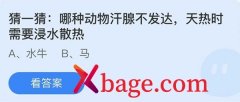 蚂蚁庄园：哪种动物汗腺不发达天热时需要浸水