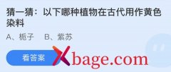 <b>蚂蚁庄园：以下哪种植物在古代用作黄色染料</b>