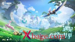 王者荣耀设置对某个人不可见方法