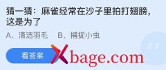 蚂蚁庄园：麻雀经常在沙子里拍打翅膀这是为了