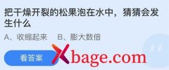 蚂蚁庄园：把干燥开裂的松果泡在水中猜猜会发
