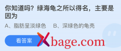 蚂蚁庄园：绿海龟之所以得名主要是因为