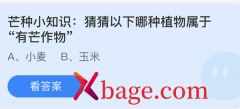 蚂蚁庄园：猜猜以下哪种植物属于有芒作物