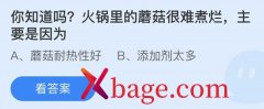 蚂蚁庄园：火锅里的蘑菇很难煮烂主要是因为
