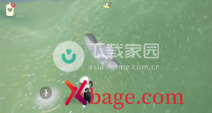 光遇夜行季任务四通关攻略