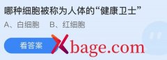 蚂蚁庄园：哪种细胞被称为人体的健康卫士