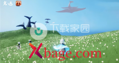 光遇2023海洋节礼包价格介绍