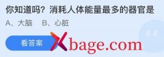 <b>蚂蚁庄园：你知道吗消耗人体能量最多的器官是</b>