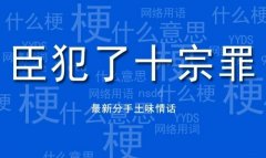 臣犯了十宗罪梗