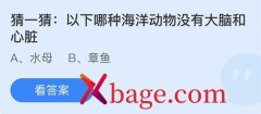 蚂蚁庄园：以下哪种海洋动物没有大脑和心脏
